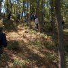 nel bosco