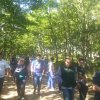 arrivo nel bosco