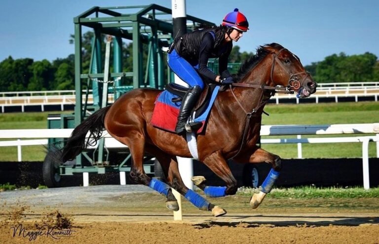 cavalli da corsa al galoppo in pista